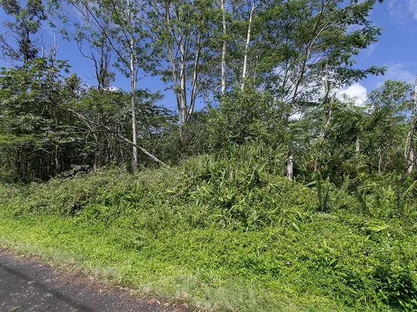 Pakalana Rd Lot 205, Pahoa, HI 96778