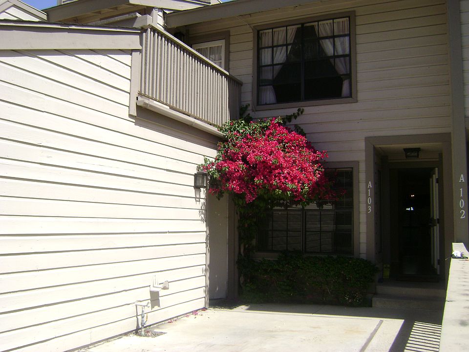 2nd image of 2157 Pacific Ave #12