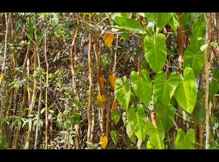 40th St LOT 63, Kurtistown, HI 96760