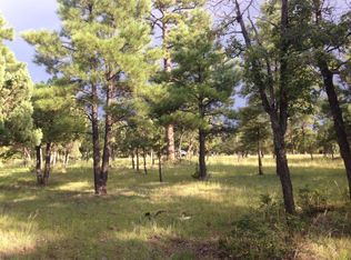 3948 Durango Dr, Happy Jack, AZ 86024