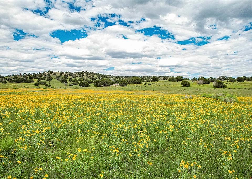0 Omega Rd, Quemado, NM 87829 MLS 800529 Zillow