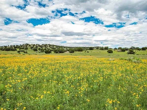 000 Omega Road #Cat Hill, Quemado, NM 87829