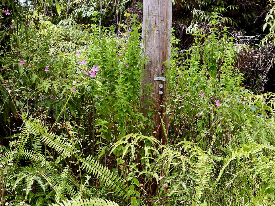 2nd image of Mountain View Pl Lot 6