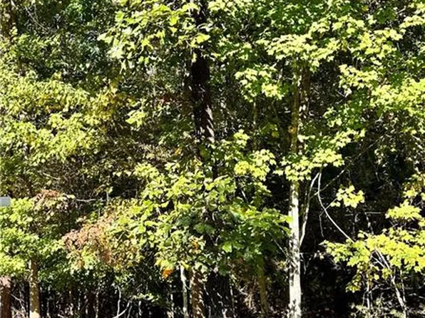 3658 Davis Bridge Rd Lot 64, Gainesville, GA 30506