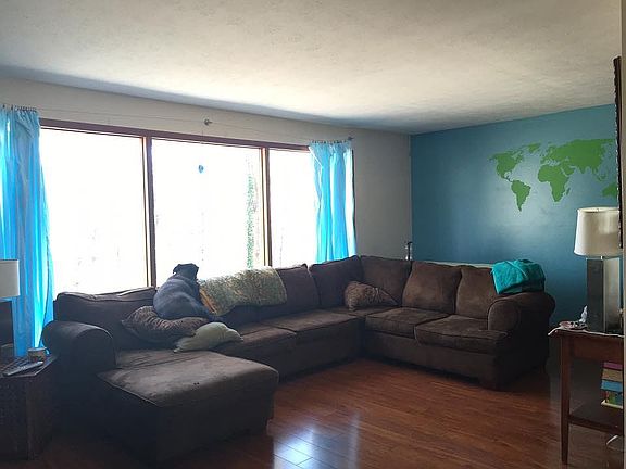 Living Room Picture Window