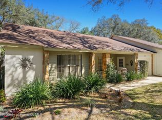 3223 Argonaut Dr, Spring Hill, FL 34606