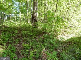 Potomac Blvd, Falling Waters, WV 25419