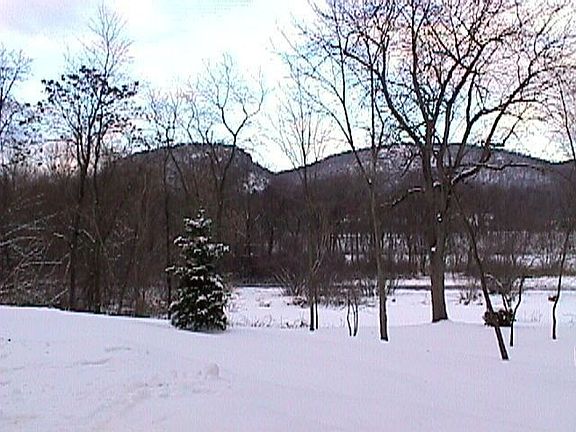 View from the back yard in the winter