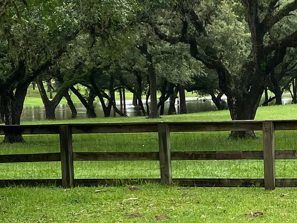 Beautiful Front Yard Vies