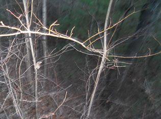 34 Sawblade Rdg, Marietta, SC 29661