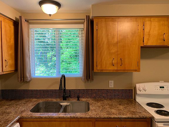 Kitchen view to woods