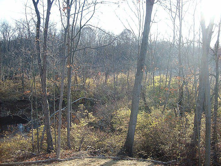 2nd image of 1170 Walnut Creek Trl