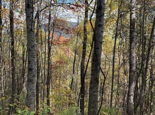 46 & 51 Big Secret Ln, Murphy, NC 28906