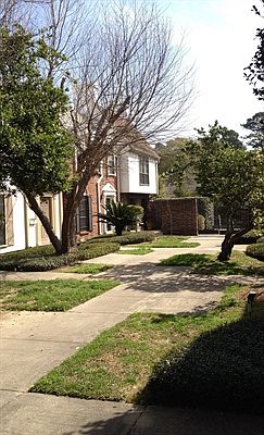 LANDSCAPED COURTYARD