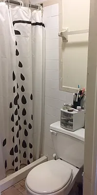 Rented by Brooklyn Heights Real Estate Inc | media 13