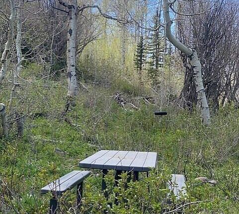 3rd image of 14020 W Aspen Ridge Cir #20-S-140