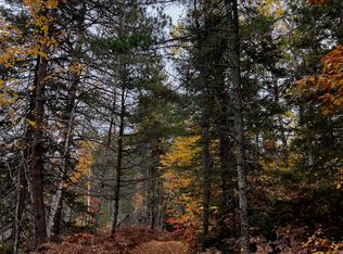 N Genes Rd, Paradise, MI 49768