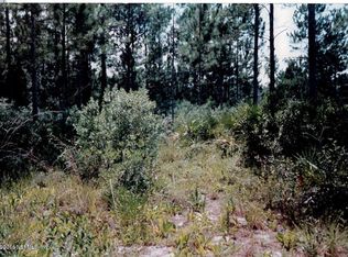 121 Ranchwood Rd, Crescent City, FL 32112