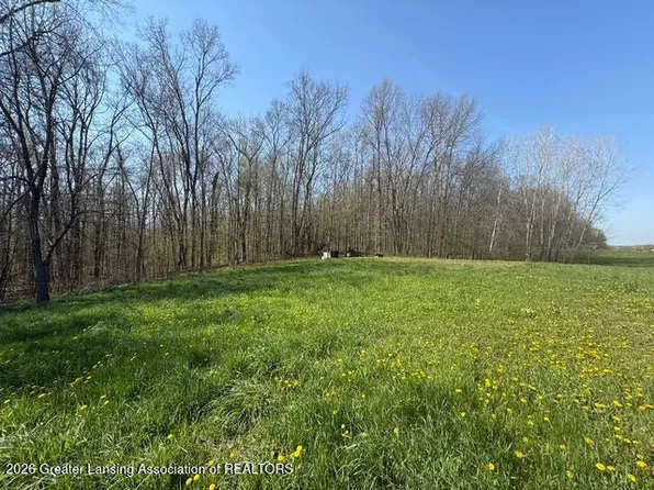 27 Mile Rd, Albion, MI 49224