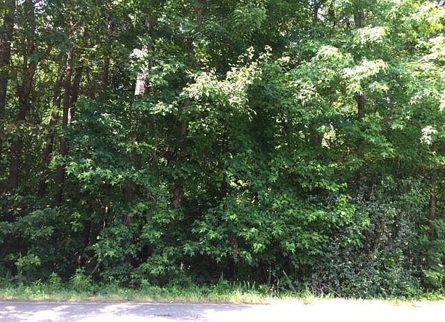 2nd image of 5578 Lakeshore Rd Lot 5