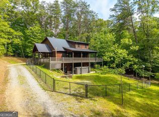 55 Hallee Dr, Mineral Bluff, GA 30559