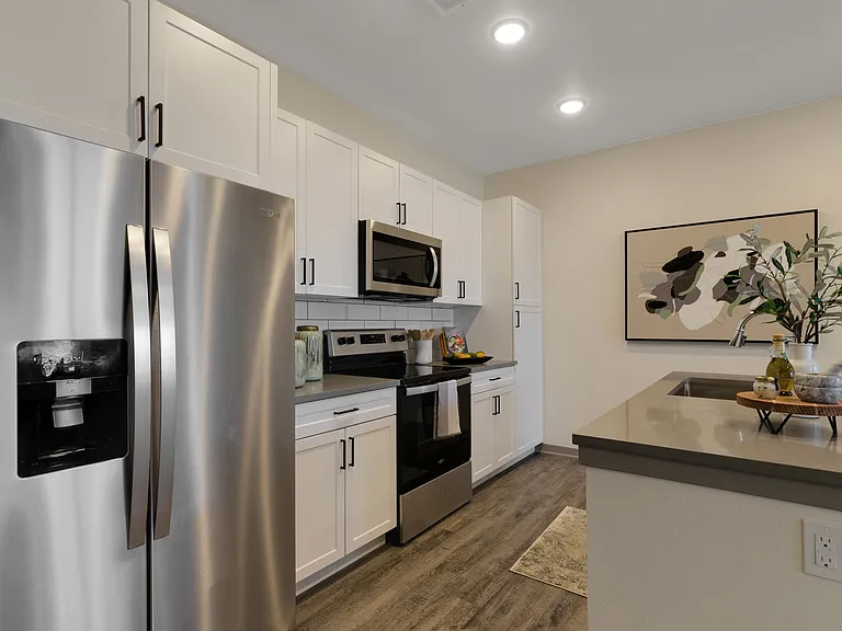 Stainless Steel Appliances