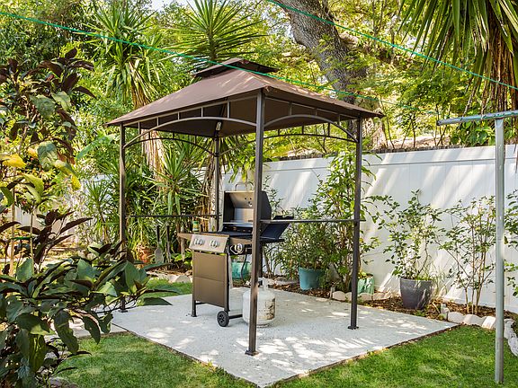 Tropical back yard