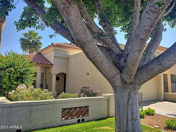 3rd image of 10567 E Saddlehorn Dr