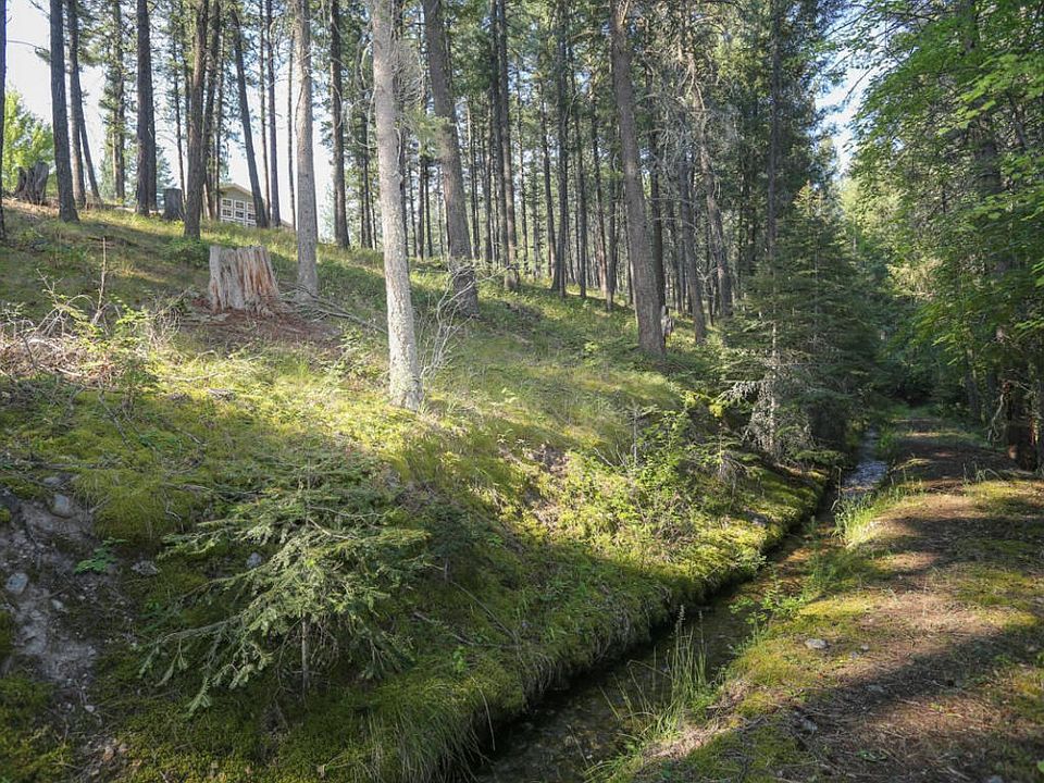 Ditch View