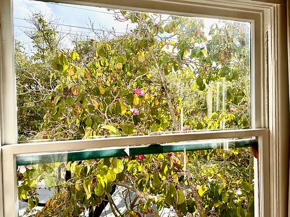 View from tenant's living room