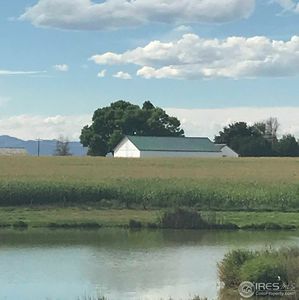 6776 County Road 74, Windsor, CO, 80550