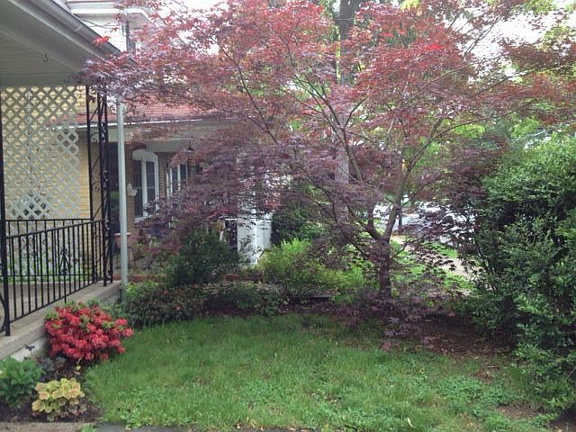 2nd image of 56 N Hamilton St