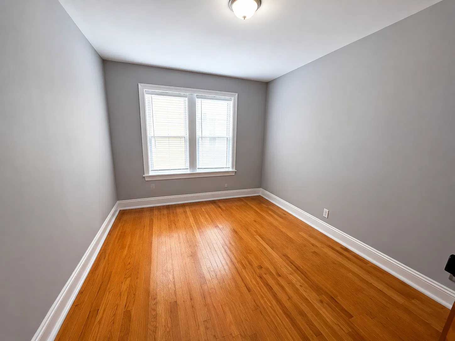 2 bed, 800 sqft, $1,450 — Photo 2
