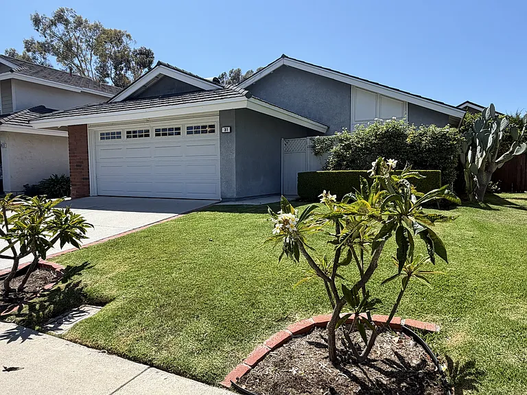 31 Shearwater — Photo 2
