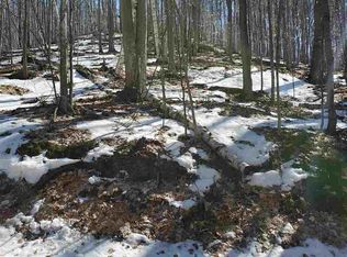 Spring Valley Rd, Beulah, MI 49617