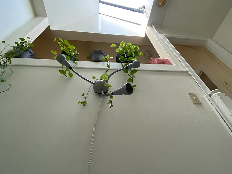 32 Irving St #4 — Photo 12