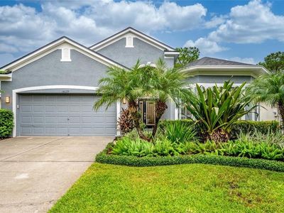 18629 Le Dauphine Pl, Lutz, FL, 33558