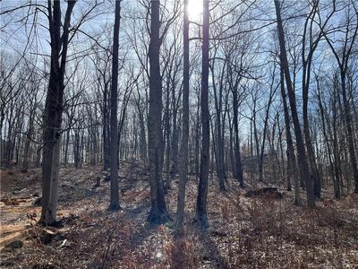 51 Larkey Road, Oxford, CT, 06478