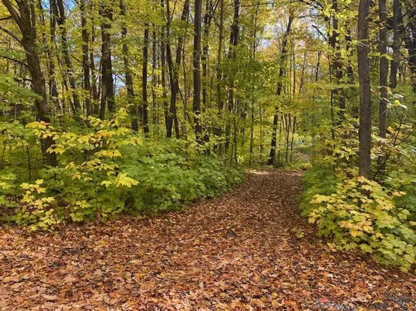 Coyote Trl, Frederic, MI 49733