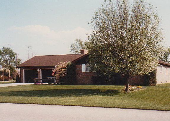 Spring view with Flowering Poplar