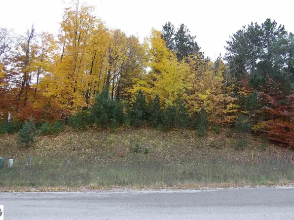 90 Eden St, Kingsley, MI 49649