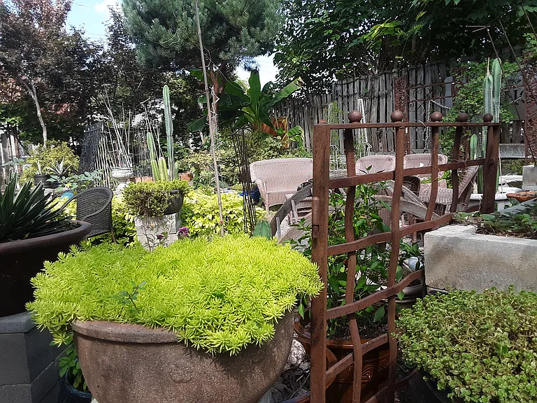 more plantings