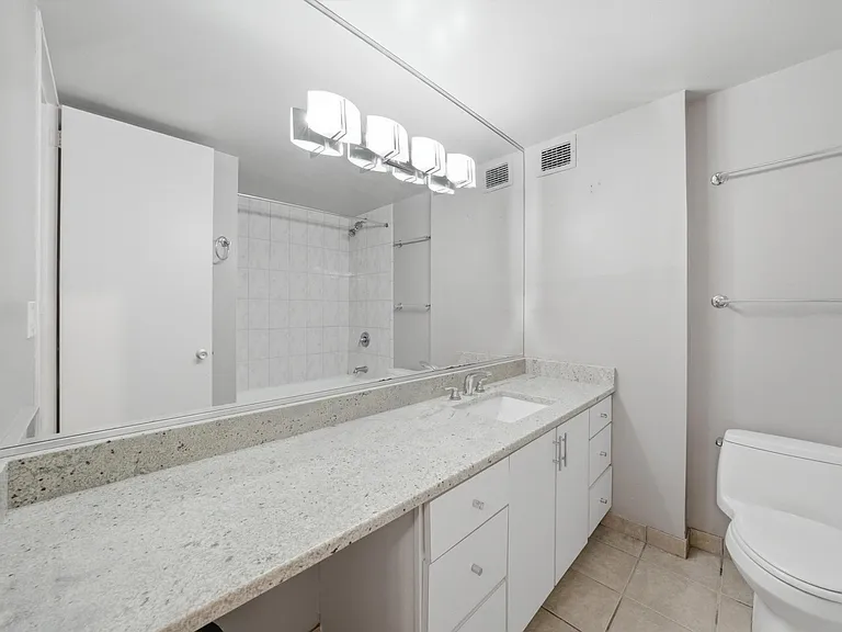 233 E Erie St #1301 — Photo 13