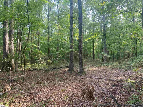 0 Mann Ln, Alexander, AR 72002