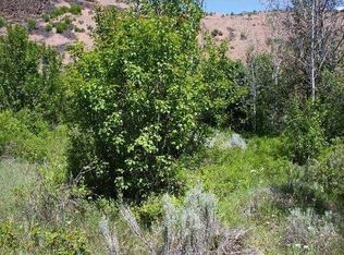 6060 Robinson Canyon Rd #X, Ellensburg, WA 98926