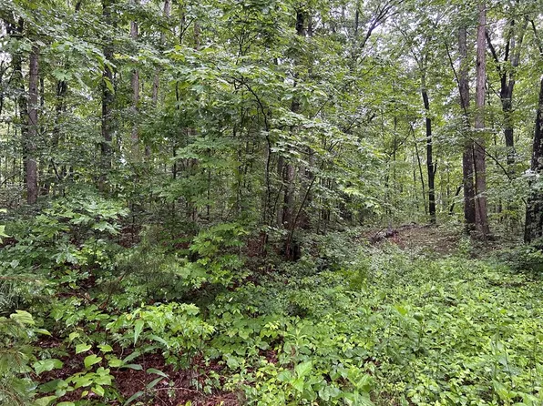 N A Panther Branch Rd, Jamestown, TN 38556