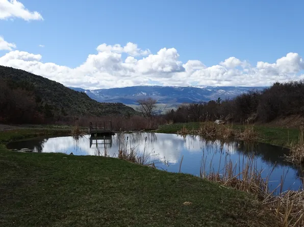 18957 Kimball Creek Rd, Collbran, CO 81624