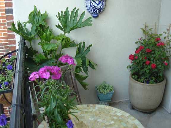 Private balcony