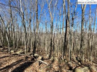 0 Mayapple Rd, Banner Elk, NC 28604