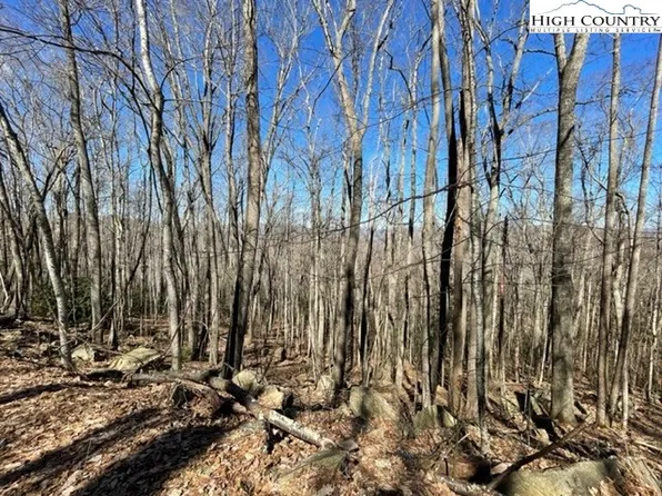 0 Mayapple Road, Beech Mountain, NC 28604